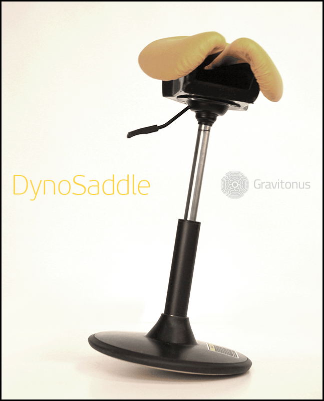 Dyno Saddle